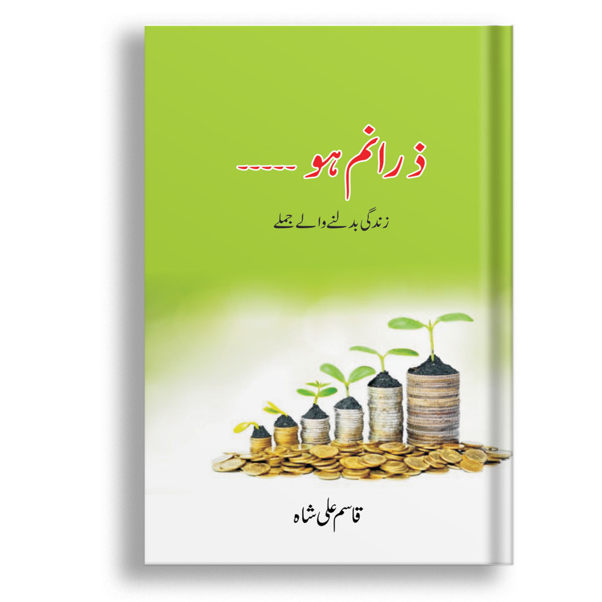 Zara Num Ho By Qasim Ali Shah