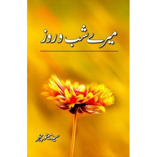 Mery Shab o Rooz By Syed Meeno Chehar